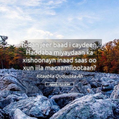 Picture 05 - Ayuub 19:3 SOM - Toban jeer baad i caydeen, Haddaba miyaydaan ka - Bible Verse Picture