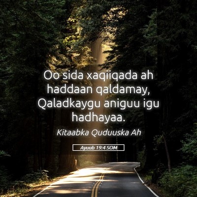 Picture 05 - Ayuub 19:4 SOM - Oo sida xaqiiqada ah haddaan qaldamay, Qaladkaygu - Bible Verse Picture