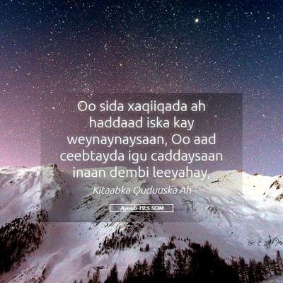 Picture 05 - Ayuub 19:5 SOM - Oo sida xaqiiqada ah haddaad iska kay - Bible Verse Picture