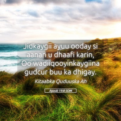 Picture 05 - Ayuub 19:8 SOM - Jidkaygii ayuu ooday si aanan u dhaafi karin, Oo - Bible Verse Picture