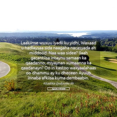 Picture 05 - Ayuub 2:10 SOM - Laakiinse wuxuu iyadii ku yidhi, Waxaad u - Bible Verse Picture