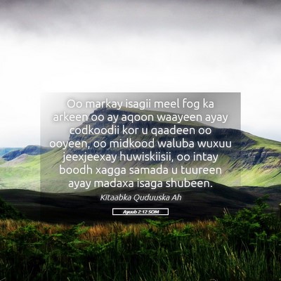Picture 05 - Ayuub 2:12 SOM - Oo markay isagii meel fog ka arkeen oo ay aqoon - Bible Verse Picture