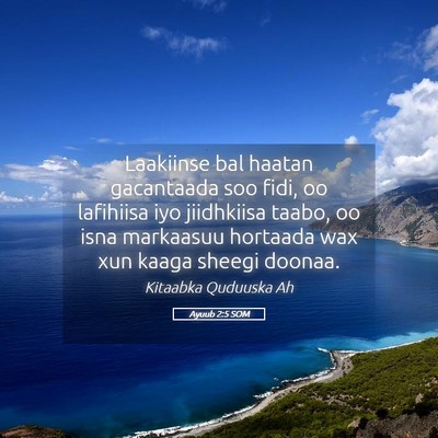 Picture 05 - Ayuub 2:5 SOM - Laakiinse bal haatan gacantaada soo fidi, oo - Bible Verse Picture