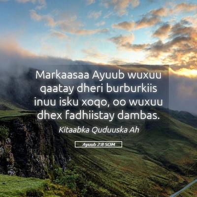 Picture 05 - Ayuub 2:8 SOM - Markaasaa Ayuub wuxuu qaatay dheri burburkiis - Bible Verse Picture