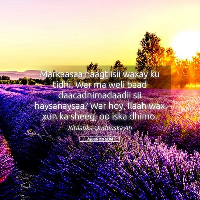 Picture 05 - Ayuub 2:9 SOM - Markaasaa naagtiisii waxay ku tidhi, War ma weli - Bible Verse Picture
