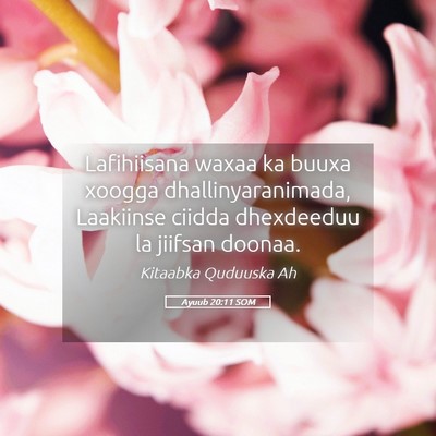 Picture 05 - Ayuub 20:11 SOM - Lafihiisana waxaa ka buuxa xoogga - Bible Verse Picture