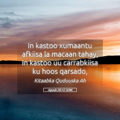 Picture 05 - Ayuub 20:12 SOM - In kastoo xumaantu afkiisa la macaan tahay, In - Bible Verse Picture