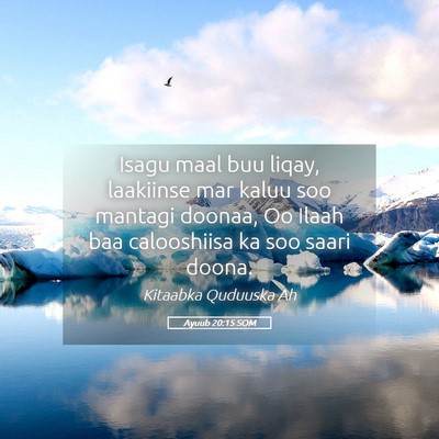 Picture 05 - Ayuub 20:15 SOM - Isagu maal buu liqay, laakiinse mar kaluu soo - Bible Verse Picture