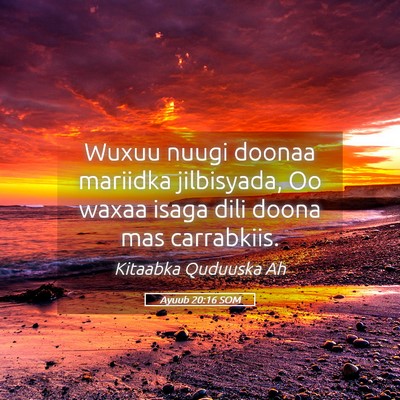 Picture 05 - Ayuub 20:16 SOM - Wuxuu nuugi doonaa mariidka jilbisyada, Oo waxaa - Bible Verse Picture