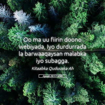 Picture 05 - Ayuub 20:17 SOM - Oo ma uu fiirin doono webiyada, Iyo durdurrada la - Bible Verse Picture