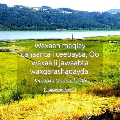 Picture 05 - Ayuub 20:3 SOM - Waxaan maqlay canaanta i ceebaysa, Oo waxaa ii - Bible Verse Picture