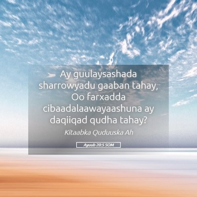 Picture 05 - Ayuub 20:5 SOM - Ay guulaysashada sharrowyadu gaaban tahay, Oo - Bible Verse Picture
