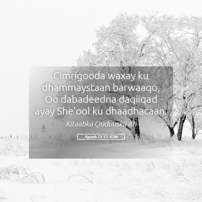 Picture 05 - Ayuub 21:13 SOM - Cimrigooda waxay ku dhammaystaan barwaaqo, Oo - Bible Verse Picture