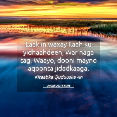 Picture 05 - Ayuub 21:14 SOM - Laakiin waxay Ilaah ku yidhaahdeen, War naga tag, - Bible Verse Picture