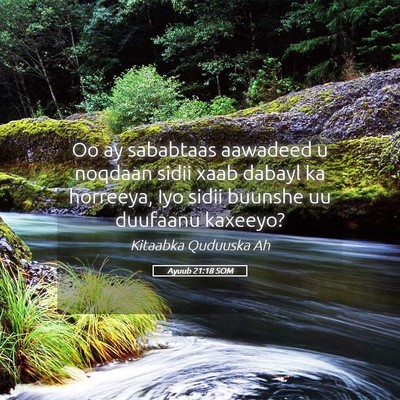 Picture 05 - Ayuub 21:18 SOM - Oo ay sababtaas aawadeed u noqdaan sidii xaab - Bible Verse Picture