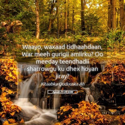 Picture 05 - Ayuub 21:28 SOM - Waayo, waxaad tidhaahdaan, War meeh gurigii - Bible Verse Picture