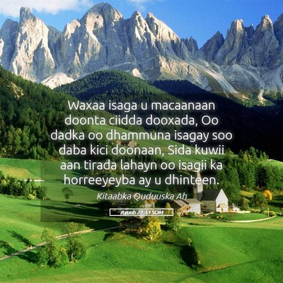 Picture 05 - Ayuub 21:33 SOM - Waxaa isaga u macaanaan doonta ciidda dooxada, Oo - Bible Verse Picture