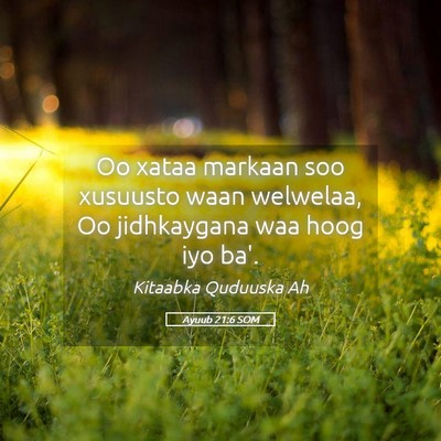 Picture 05 - Ayuub 21:6 SOM - Oo xataa markaan soo xusuusto waan welwelaa, Oo - Bible Verse Picture