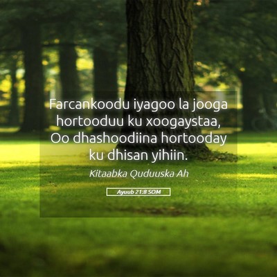 Picture 05 - Ayuub 21:8 SOM - Farcankoodu iyagoo la jooga hortooduu ku - Bible Verse Picture