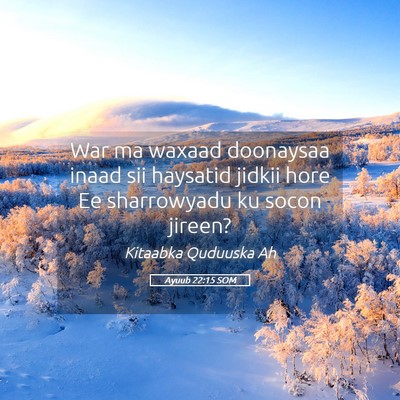 Picture 05 - Ayuub 22:15 SOM - War ma waxaad doonaysaa inaad sii haysatid jidkii - Bible Verse Picture