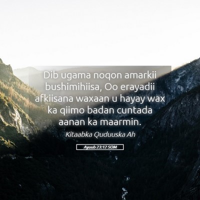 Picture 05 - Ayuub 23:12 SOM - Dib ugama noqon amarkii bushimihiisa, Oo erayadii - Bible Verse Picture