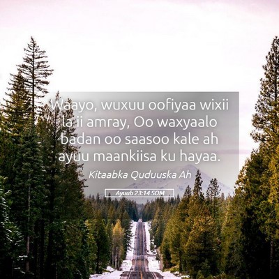 Picture 05 - Ayuub 23:14 SOM - Waayo, wuxuu oofiyaa wixii la ii amray, Oo - Bible Verse Picture