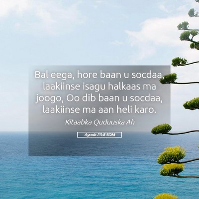 Picture 05 - Ayuub 23:8 SOM - Bal eega, hore baan u socdaa, laakiinse isagu - Bible Verse Picture