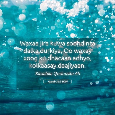 Picture 05 - Ayuub 24:2 SOM - Waxaa jira kuwa soohdinta dalka durkiya, Oo waxay - Bible Verse Picture