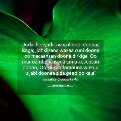 Picture 05 - Ayuub 24:20 SOM - Uurkii hooyadiis waa illoobi doonaa isaga; - Bible Verse Picture