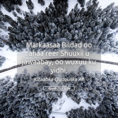 Picture 05 - Ayuub 25:1 SOM - Markaasaa Bildad oo ahaa reer Shuuxii u jawaabay, - Bible Verse Picture