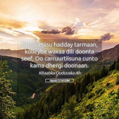 Picture 05 - Ayuub 27:14 SOM - Carruurtiisu hadday tarmaan, kolleyba waxaa dili - Bible Verse Picture
