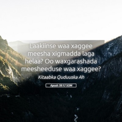 Picture 05 - Ayuub 28:12 SOM - Laakiinse waa xaggee meesha xigmadda laga helaa? - Bible Verse Picture