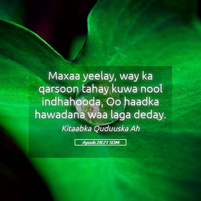 Picture 05 - Ayuub 28:21 SOM - Maxaa yeelay, way ka qarsoon tahay kuwa nool - Bible Verse Picture