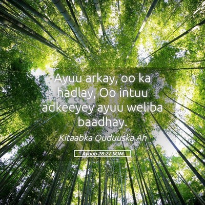 Picture 05 - Ayuub 28:27 SOM - Ayuu arkay, oo ka hadlay, Oo intuu adkeeyey ayuu - Bible Verse Picture