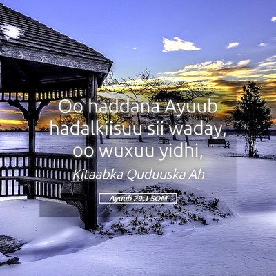 Picture 05 - Ayuub 29:1 SOM - Oo haddana Ayuub hadalkiisuu sii waday, oo wuxuu - Bible Verse Picture