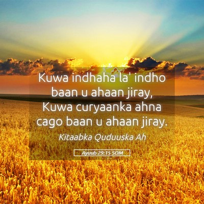 Picture 05 - Ayuub 29:15 SOM - Kuwa indhaha la' indho baan u ahaan jiray, Kuwa - Bible Verse Picture