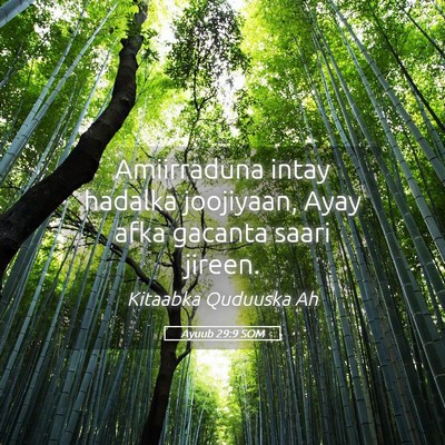 Picture 05 - Ayuub 29:9 SOM - Amiirraduna intay hadalka joojiyaan, Ayay afka - Bible Verse Picture