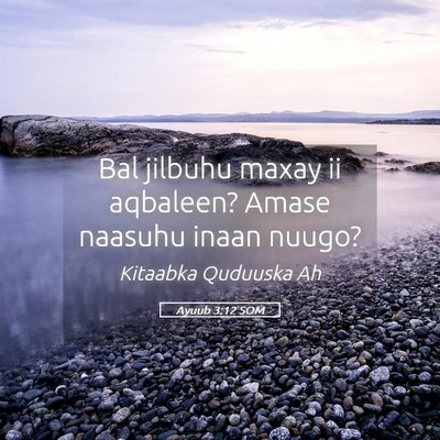 Picture 05 - Ayuub 3:12 SOM - Bal jilbuhu maxay ii aqbaleen? Amase naasuhu - Bible Verse Picture
