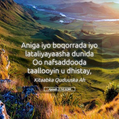 Picture 05 - Ayuub 3:14 SOM - Aniga iyo boqorrada iyo lataliyayaasha dunida Oo - Bible Verse Picture