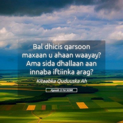 Picture 05 - Ayuub 3:16 SOM - Bal dhicis qarsoon maxaan u ahaan waayay? Ama - Bible Verse Picture