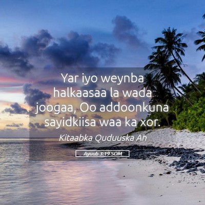 Picture 05 - Ayuub 3:19 SOM - Yar iyo weynba halkaasaa la wada joogaa, Oo - Bible Verse Picture