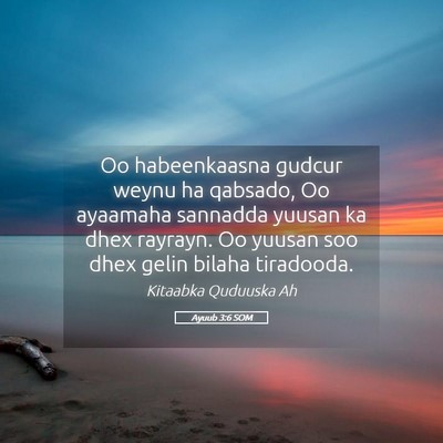 Picture 05 - Ayuub 3:6 SOM - Oo habeenkaasna gudcur weynu ha qabsado, Oo - Bible Verse Picture