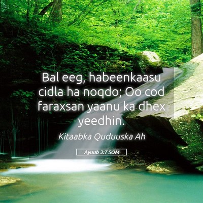Picture 05 - Ayuub 3:7 SOM - Bal eeg, habeenkaasu cidla ha noqdo; Oo cod - Bible Verse Picture
