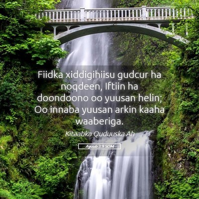 Picture 05 - Ayuub 3:9 SOM - Fiidka xiddigihiisu gudcur ha noqdeen, Iftiin ha - Bible Verse Picture