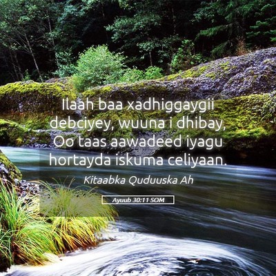 Picture 05 - Ayuub 30:11 SOM - Ilaah baa xadhiggaygii debciyey, wuuna i dhibay, - Bible Verse Picture