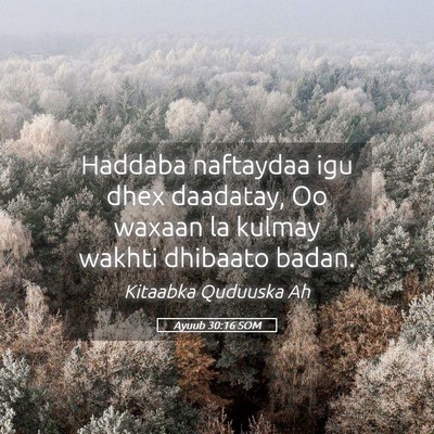 Picture 05 - Ayuub 30:16 SOM - Haddaba naftaydaa igu dhex daadatay, Oo waxaan la - Bible Verse Picture