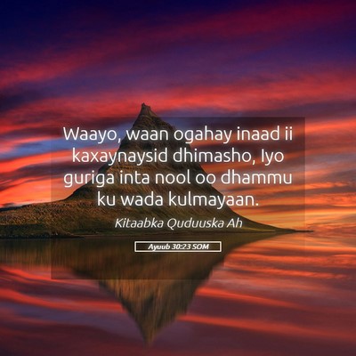Picture 05 - Ayuub 30:23 SOM - Waayo, waan ogahay inaad ii kaxaynaysid dhimasho, - Bible Verse Picture