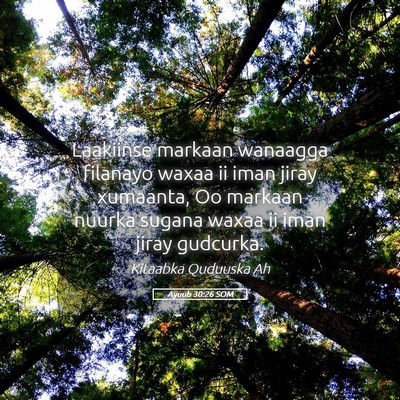 Picture 05 - Ayuub 30:26 SOM - Laakiinse markaan wanaagga filanayo waxaa ii iman - Bible Verse Picture