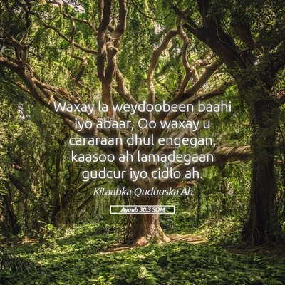Picture 05 - Ayuub 30:3 SOM - Waxay la weydoobeen baahi iyo abaar, Oo waxay u - Bible Verse Picture