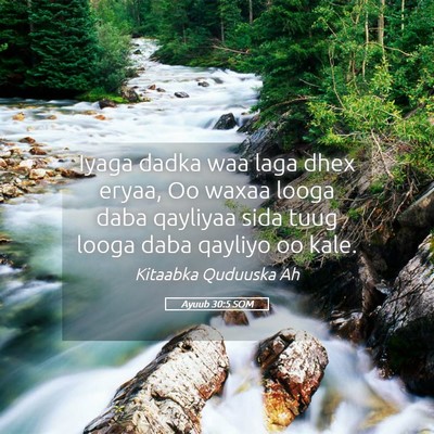 Picture 05 - Ayuub 30:5 SOM - Iyaga dadka waa laga dhex eryaa, Oo waxaa looga - Bible Verse Picture
